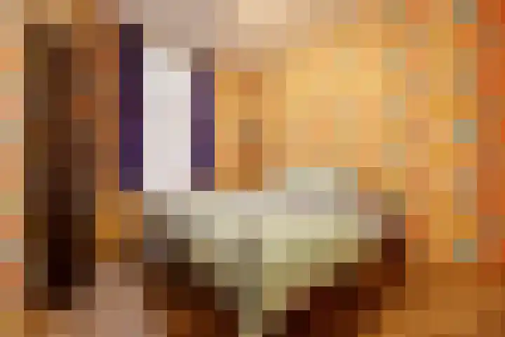 Voorstraat 2 Fijnaart thumbnail 22