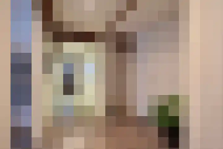 Voorstraat 2 Fijnaart thumbnail 24