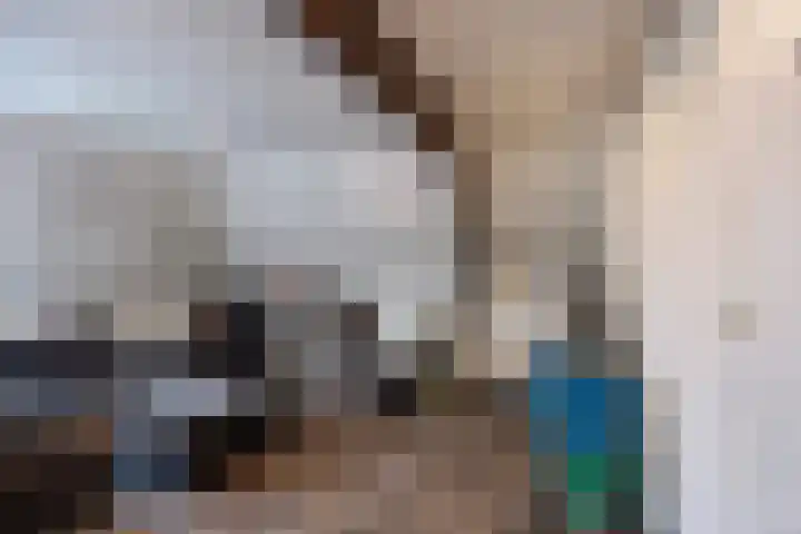 Voorstraat 2 Fijnaart thumbnail 27