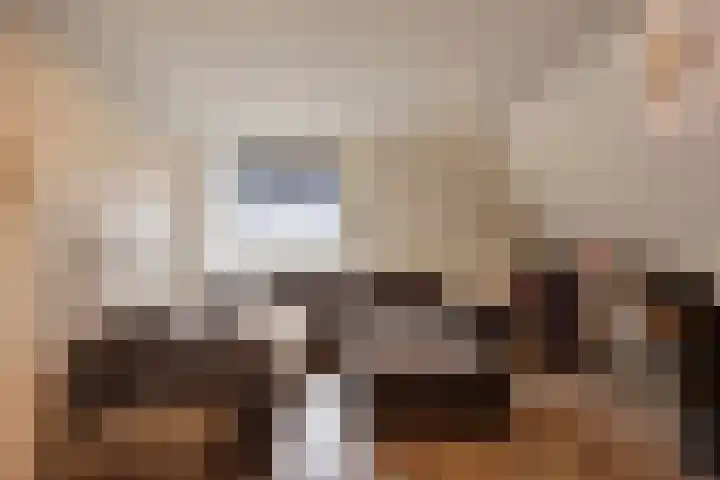 Voorstraat 2 Fijnaart thumbnail 28