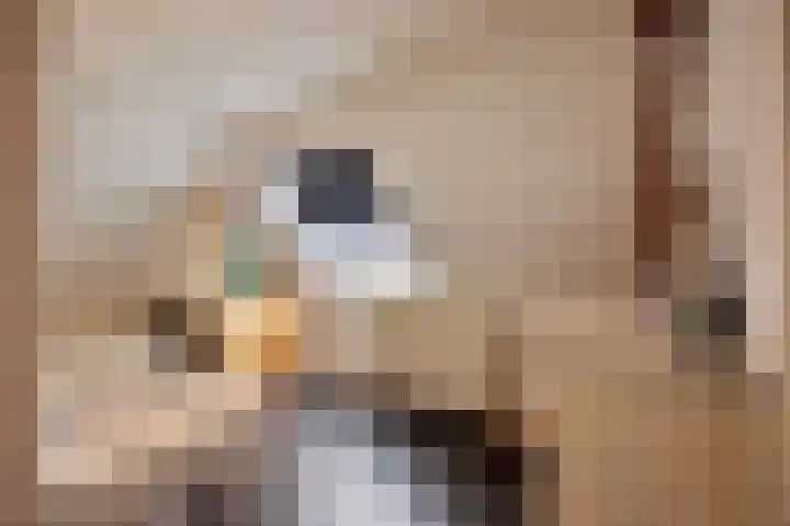 Voorstraat 2 Fijnaart thumbnail 29