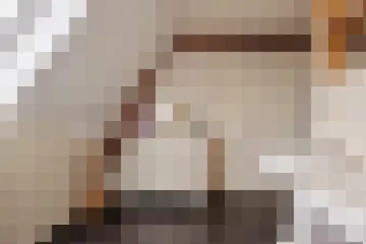 Voorstraat 2 Fijnaart thumbnail 31