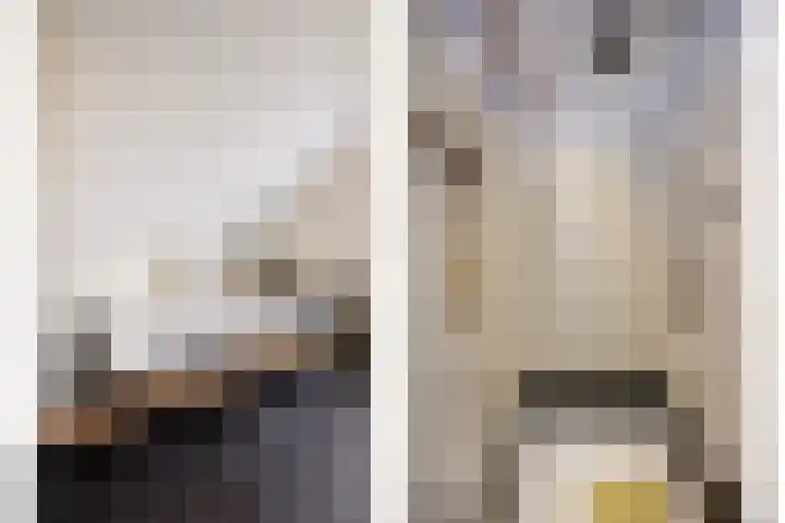 Voorstraat 2 Fijnaart thumbnail 32