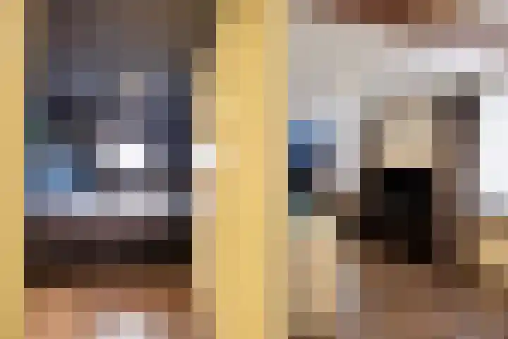 Voorstraat 2 Fijnaart thumbnail 37