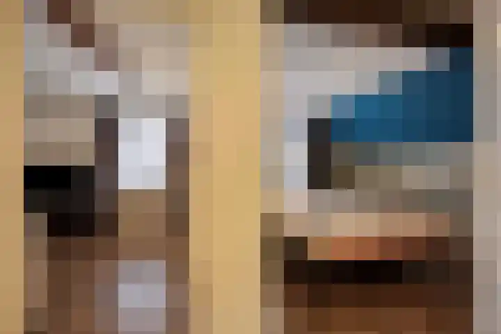 Voorstraat 2 Fijnaart thumbnail 41