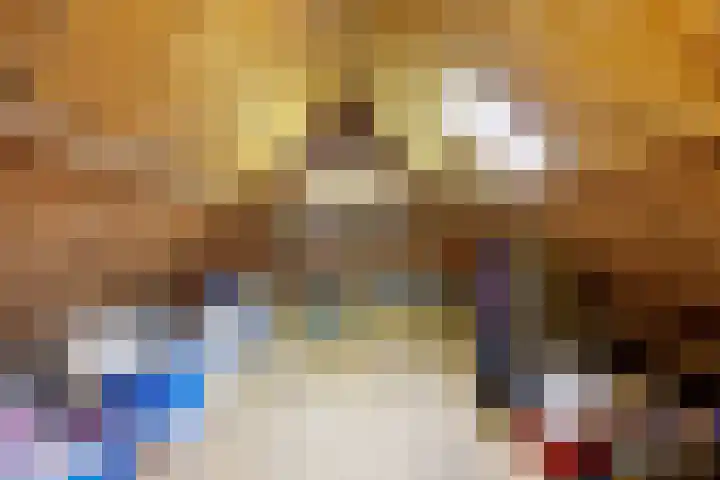 Voorstraat 2 Fijnaart thumbnail 43
