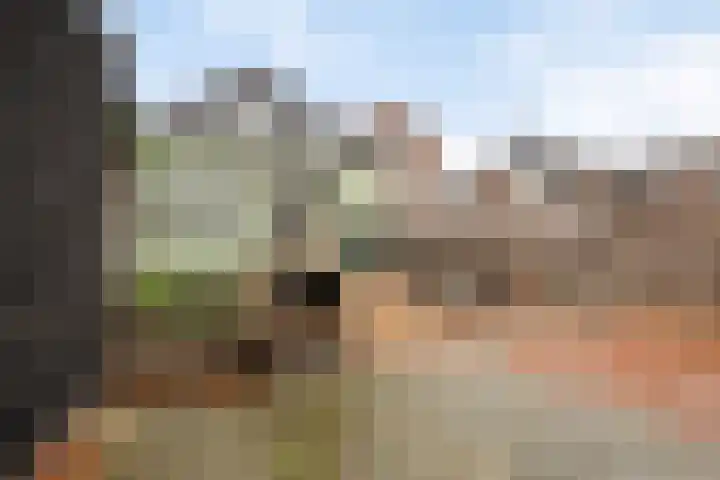 Voorstraat 2 Fijnaart thumbnail 46