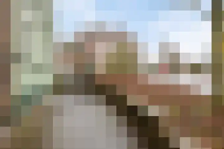 Voorstraat 2 Fijnaart thumbnail 52
