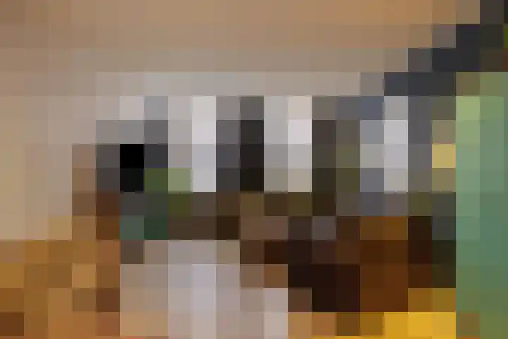 Voorstraat 2 Fijnaart thumbnail 7