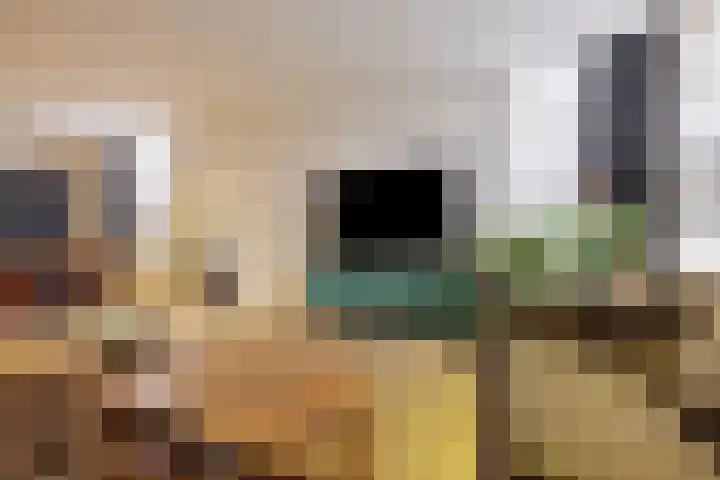 Voorstraat 2 Fijnaart thumbnail 9