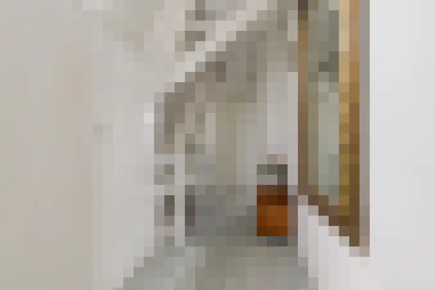 Voorstraat 2 Wijk aan Zee thumbnail 18