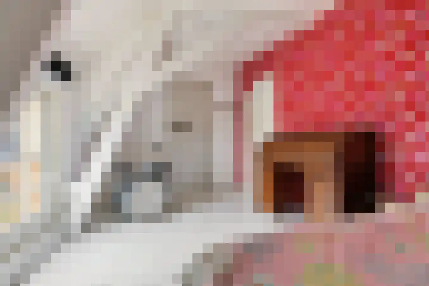 Voorstraat 2 Wijk aan Zee thumbnail 27