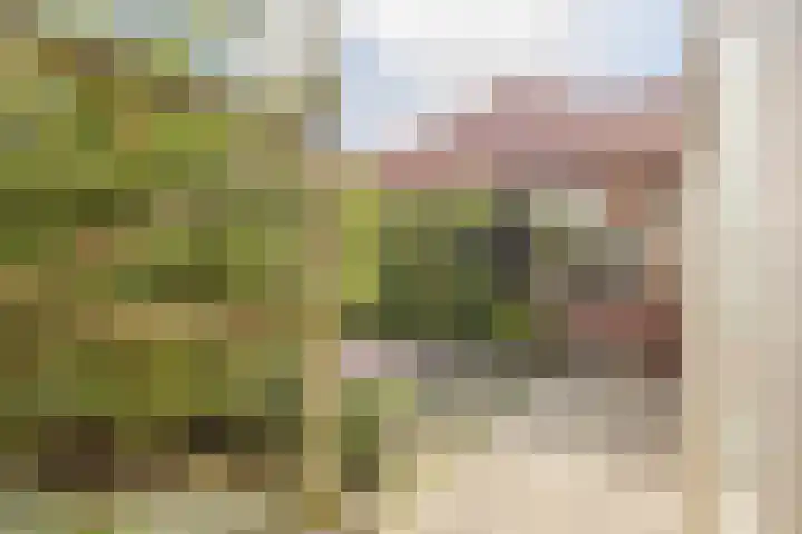 Voorstraat 20 Klaaswaal thumbnail 23