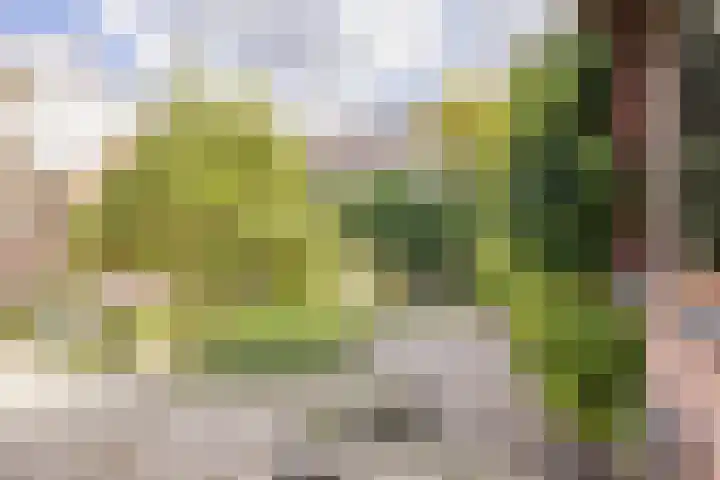 Voorstraat 20 Klaaswaal thumbnail 24