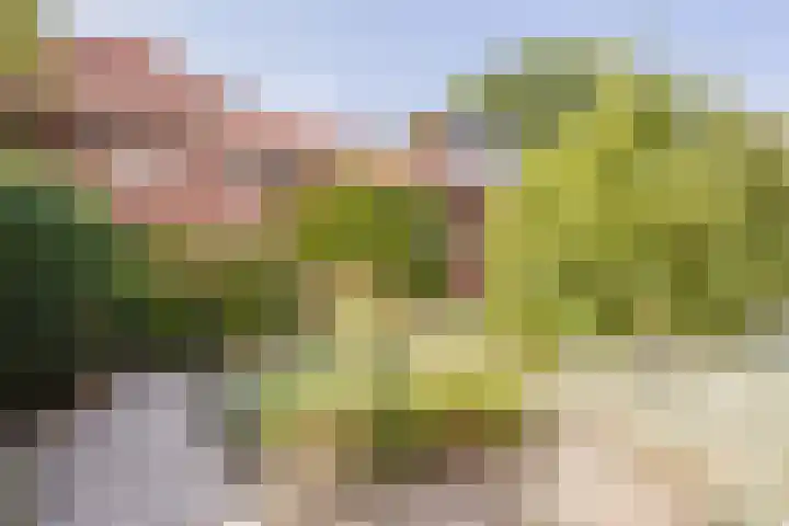 Voorstraat 20 Klaaswaal thumbnail 25