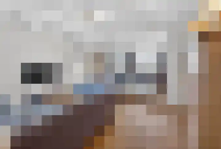 Voorstraat 20 Sommelsdijk thumbnail 10
