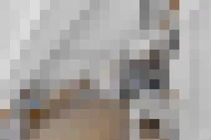 Voorstraat 20 Sommelsdijk thumbnail 32