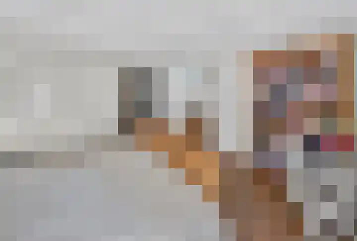 Voorstraat 20 Sommelsdijk thumbnail 36