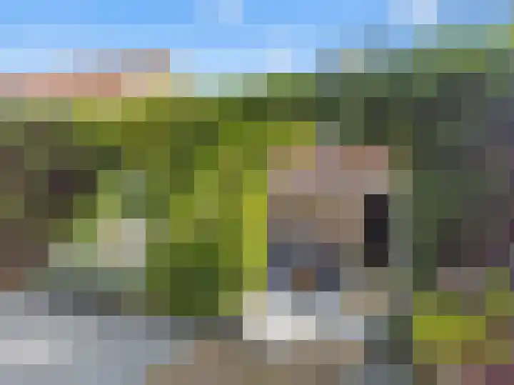 Voorstraat 20 Sommelsdijk thumbnail 72