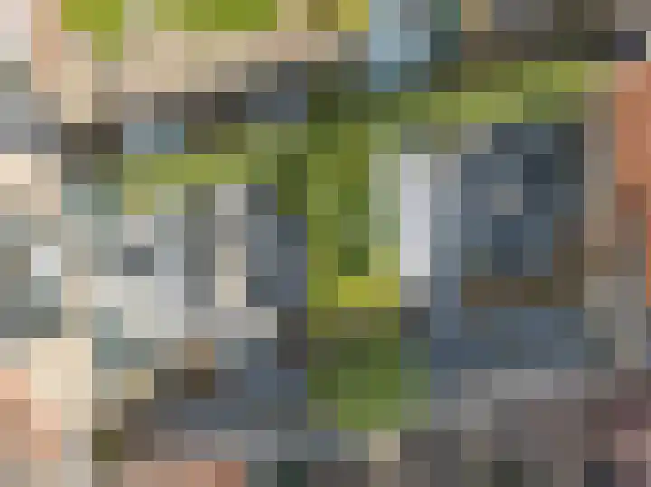 Voorstraat 20 Sommelsdijk thumbnail 81