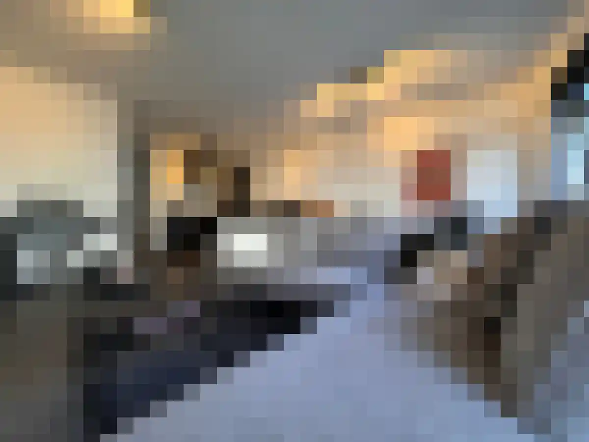 Voorstraat 20 Woerden thumbnail 5