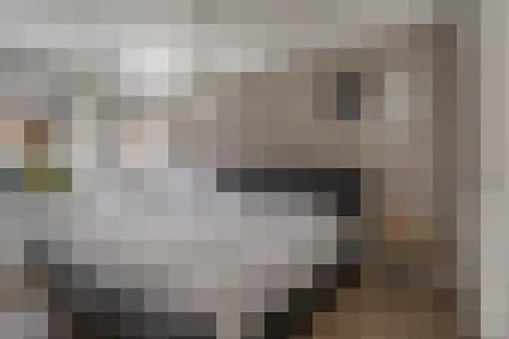 Voorstraat 21 a Hedel thumbnail 12