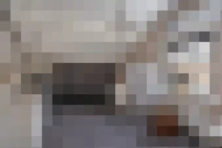 Voorstraat 21 a Hedel thumbnail 20