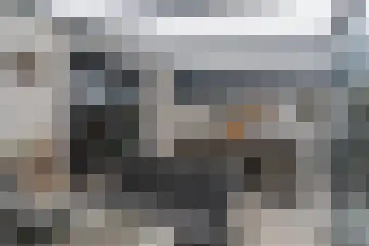 Voorstraat 21 a Hedel thumbnail 22
