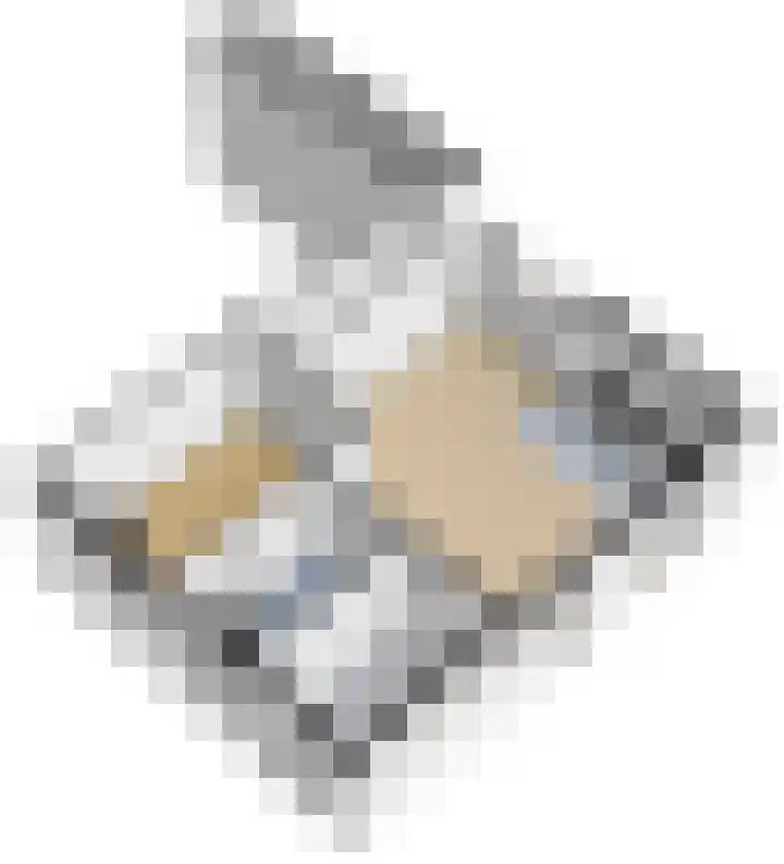Voorstraat 21 a Hedel thumbnail 33