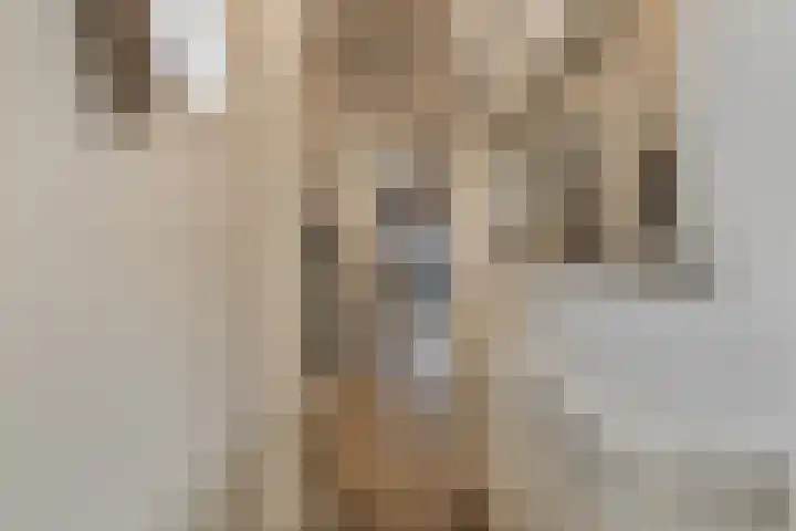 Voorstraat 21 a Hedel thumbnail 5