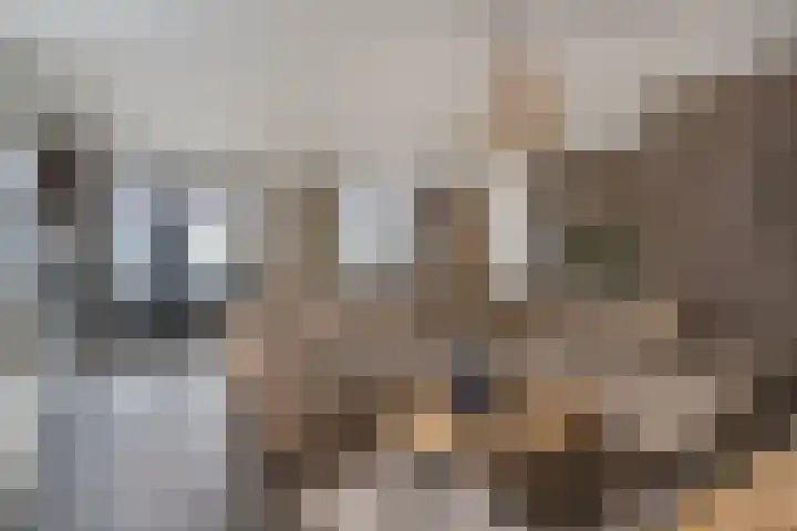 Voorstraat 21 a Hedel thumbnail 6