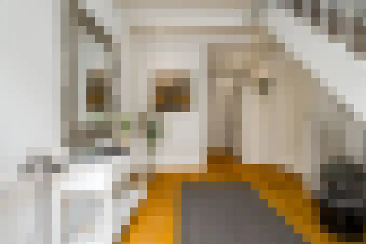 Voorstraat 21 Velddriel thumbnail 25