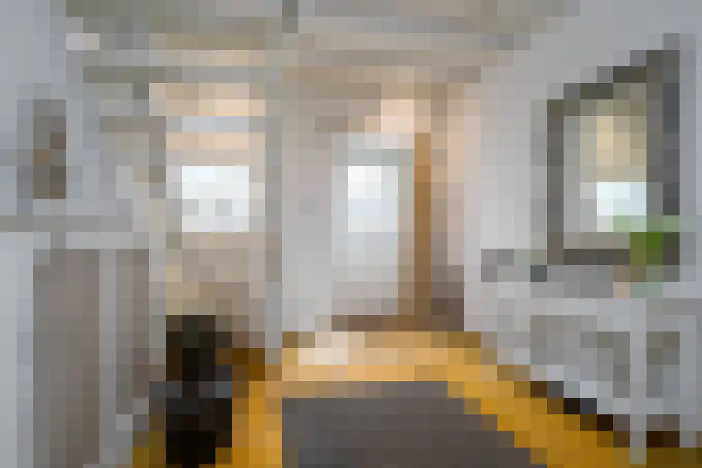 Voorstraat 21 Velddriel thumbnail 26