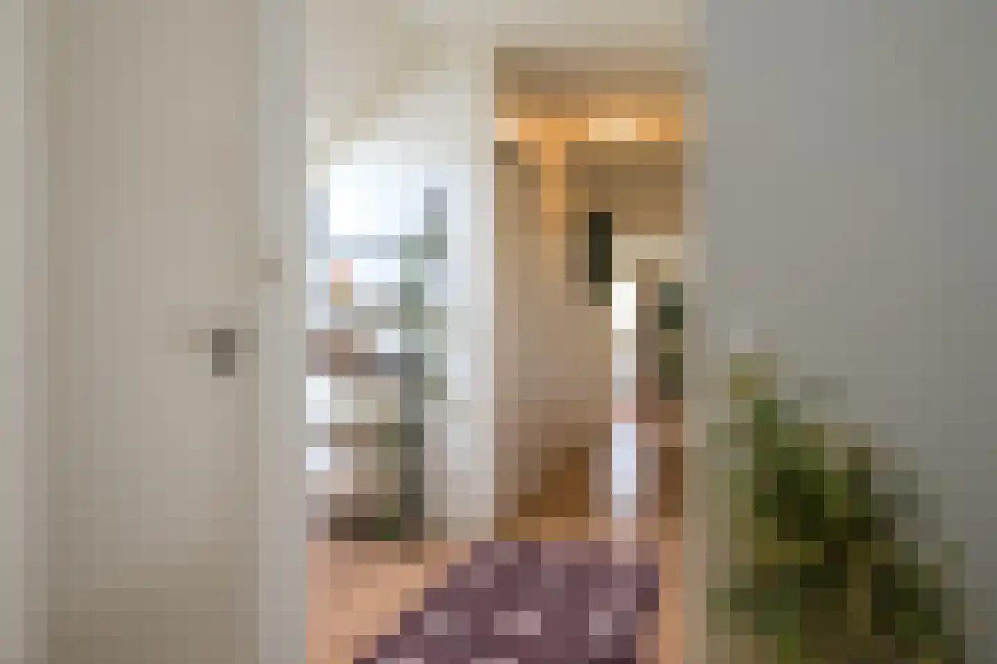 Voorstraat 21 Velddriel thumbnail 32