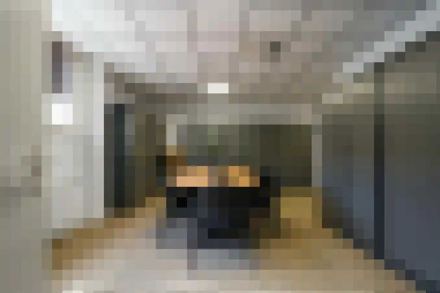 Voorstraat 21 Velddriel thumbnail 32
