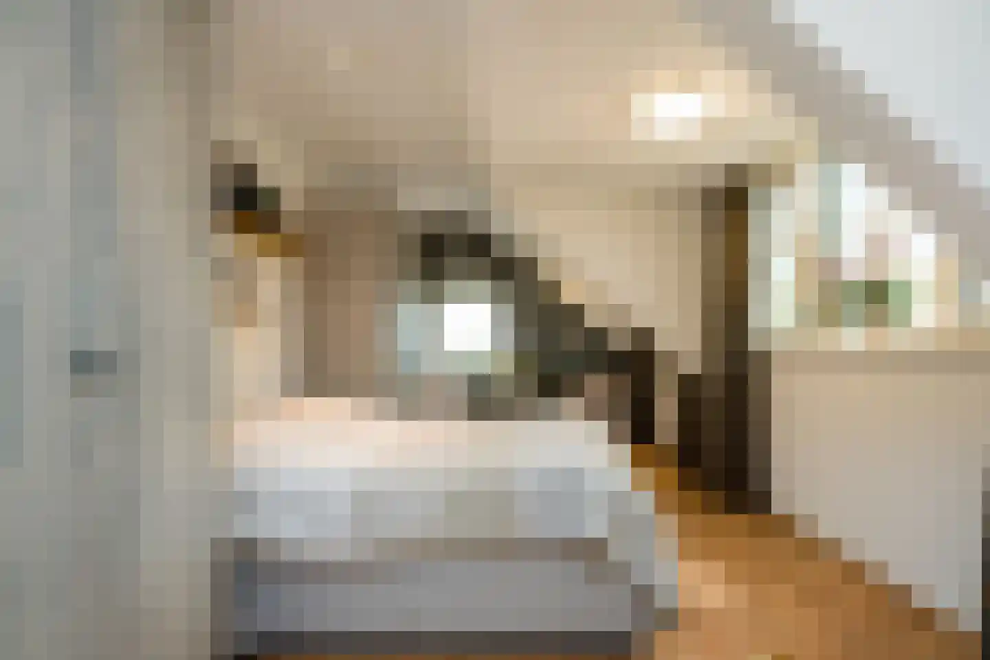 Voorstraat 21 Velddriel thumbnail 33