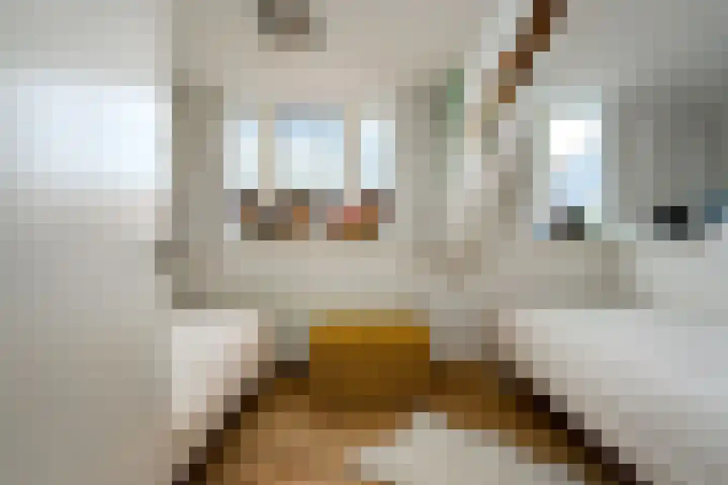 Voorstraat 21 Velddriel thumbnail 43
