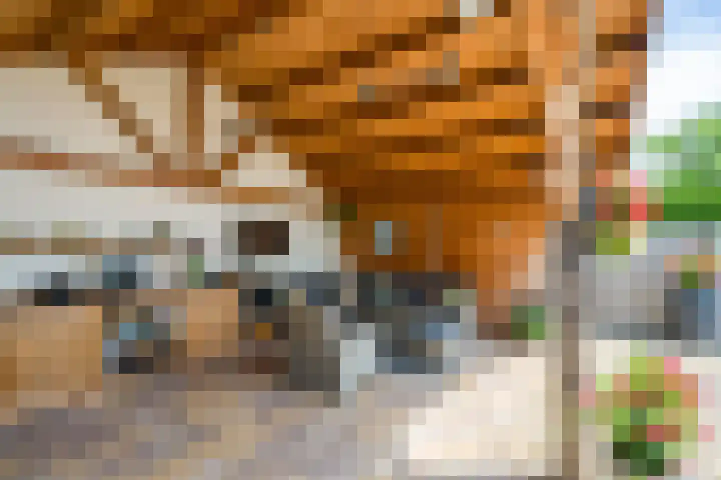 Voorstraat 21 Velddriel thumbnail 58