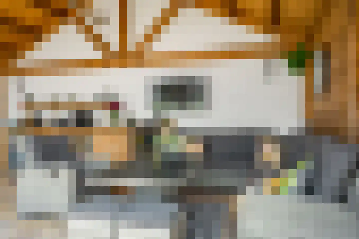 Voorstraat 21 Velddriel thumbnail 7