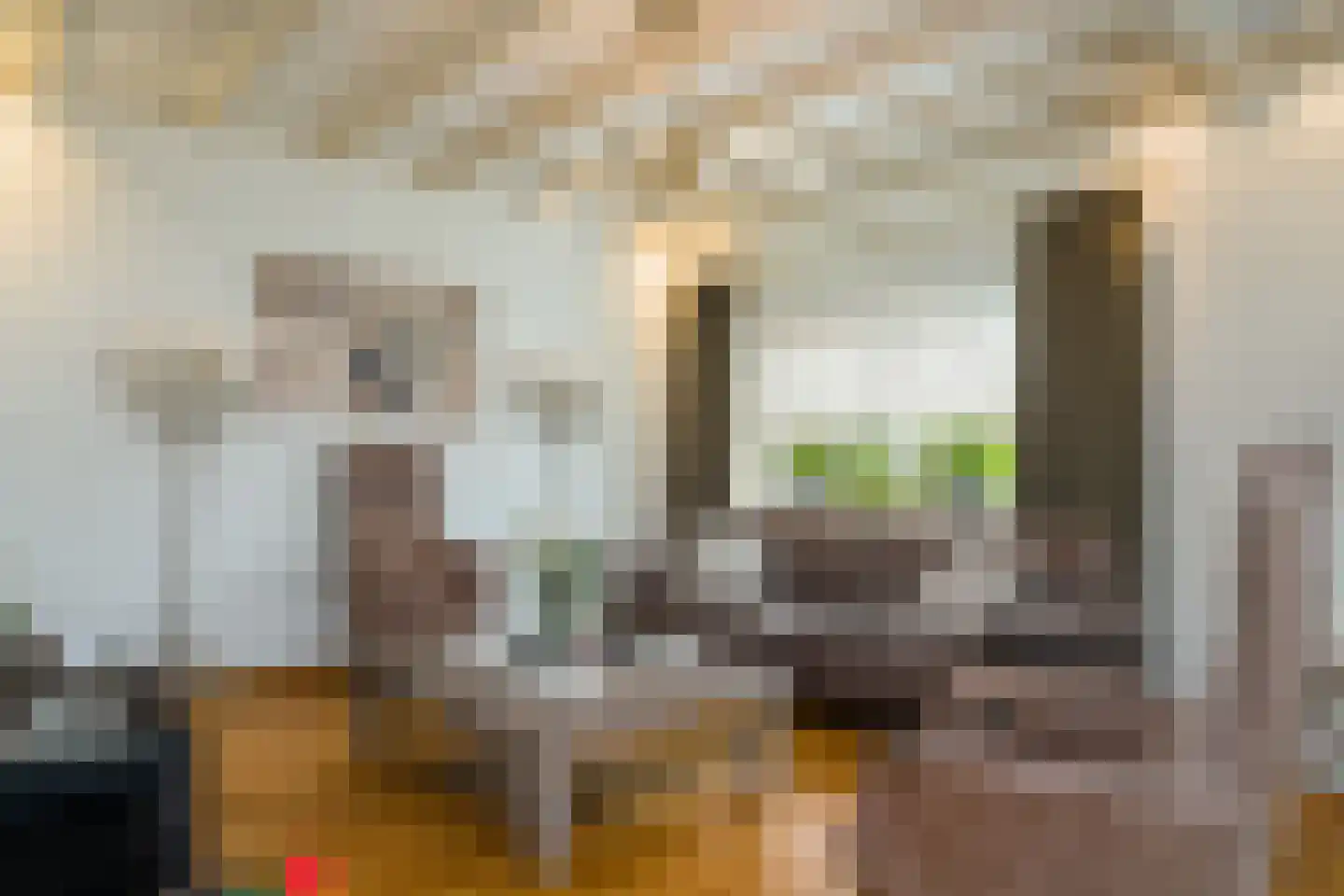 Voorstraat 21 Velddriel thumbnail 8