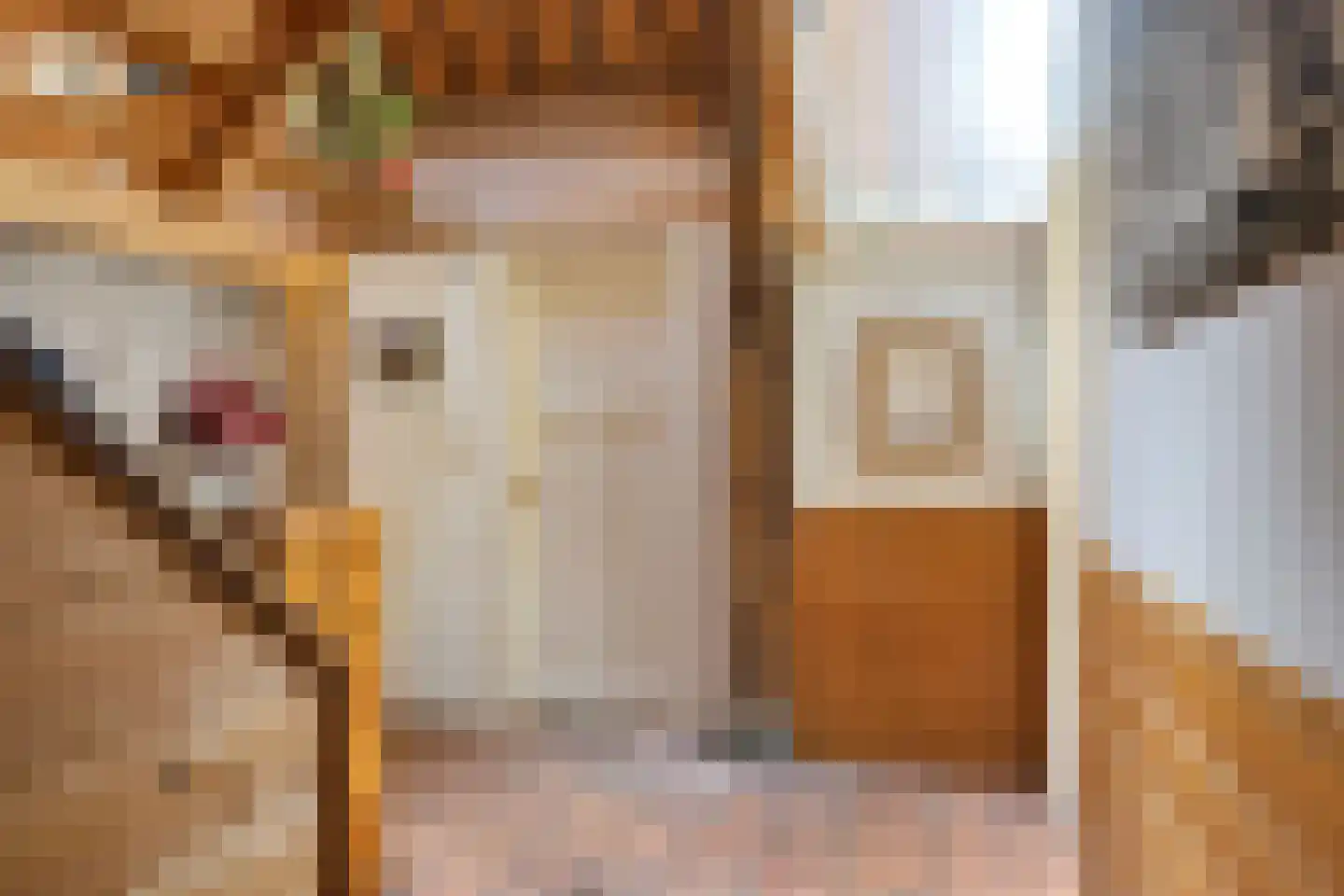 Voorstraat 216 Lekkerkerk thumbnail 11
