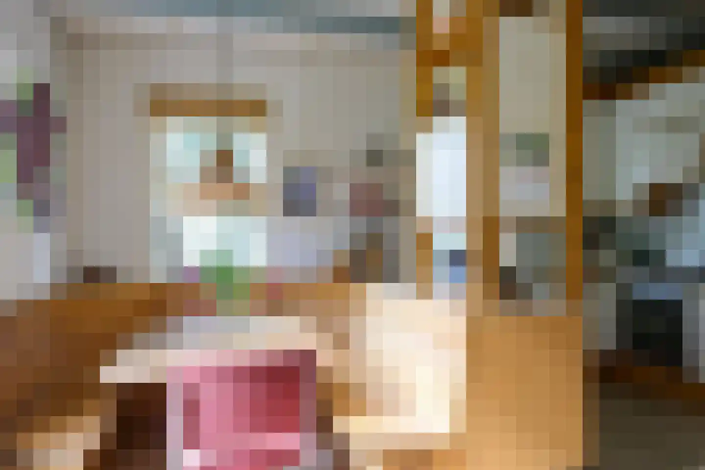 Voorstraat 216 Lekkerkerk thumbnail 14