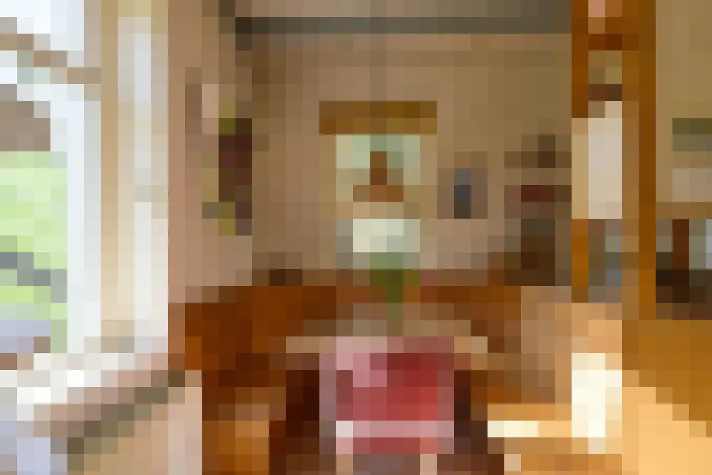 Voorstraat 216 Lekkerkerk thumbnail 15