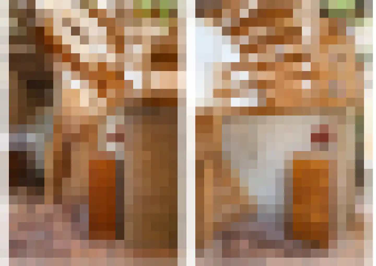 Voorstraat 216 Lekkerkerk thumbnail 18