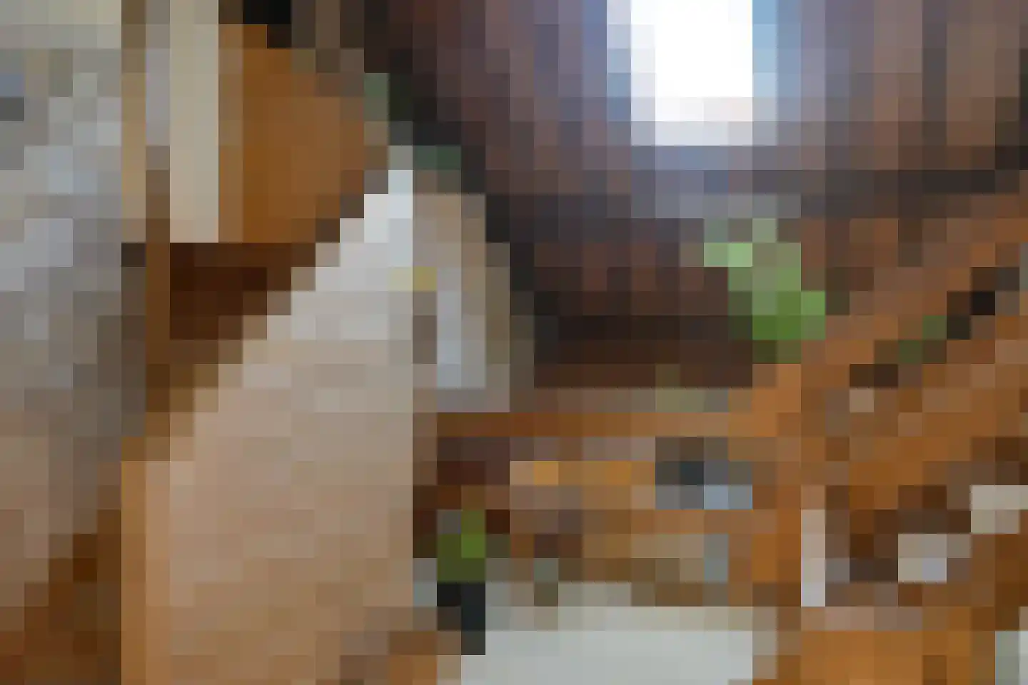 Voorstraat 216 Lekkerkerk thumbnail 19