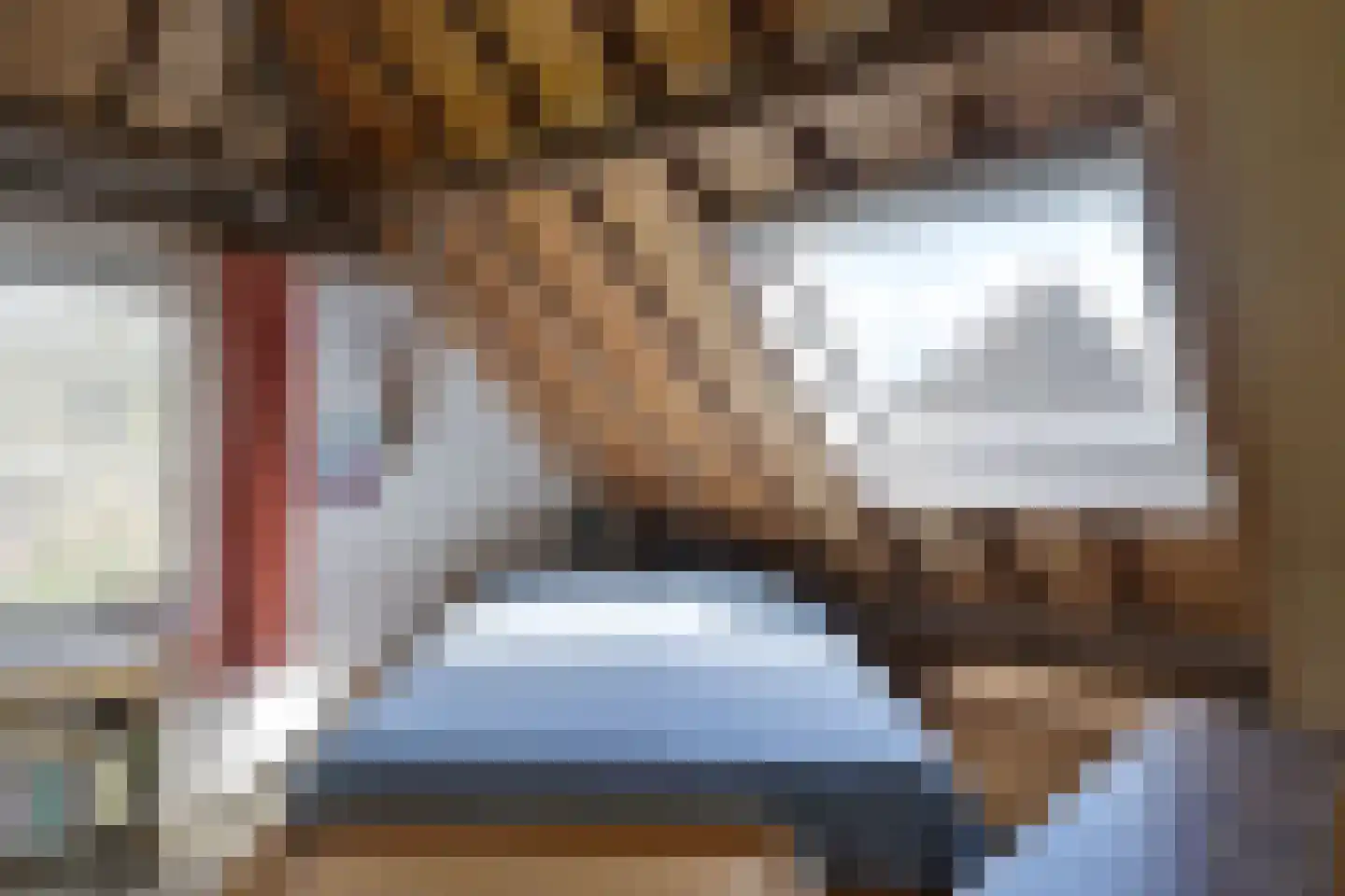 Voorstraat 216 Lekkerkerk thumbnail 26