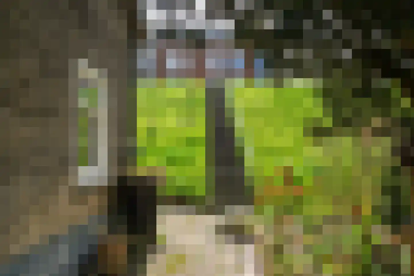 Voorstraat 216 Lekkerkerk thumbnail 29