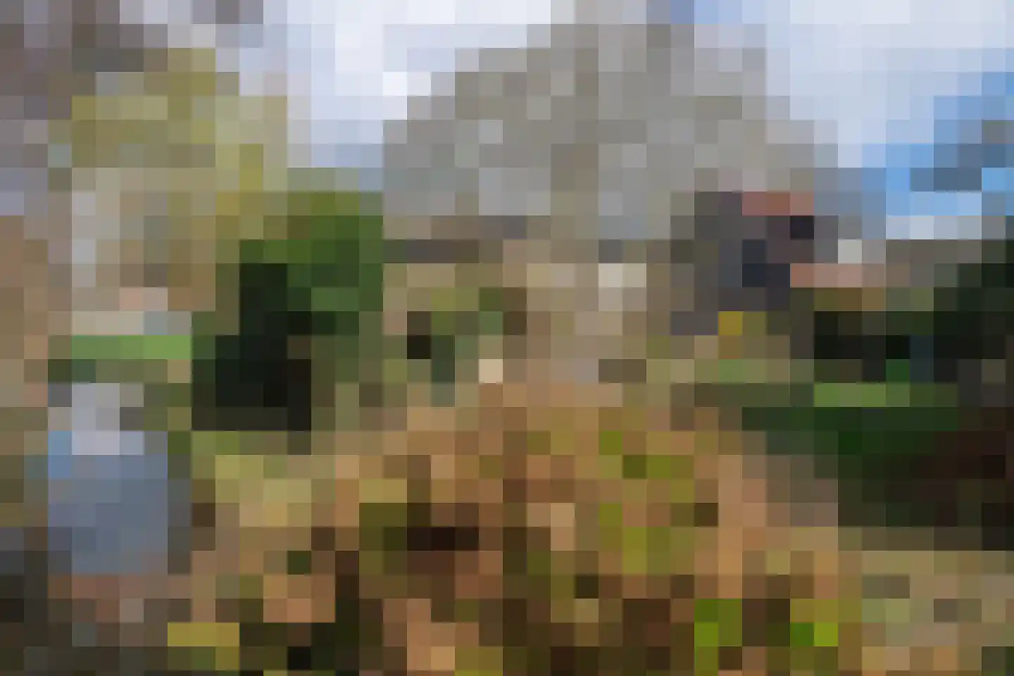 Voorstraat 216 Lekkerkerk thumbnail 30