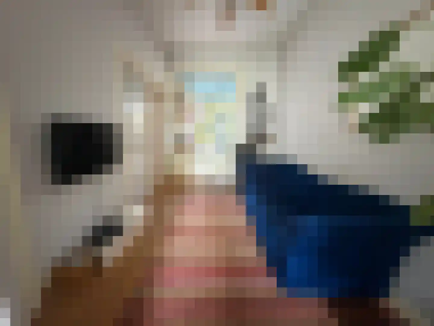 Voorstraat 22 Bad Nieuweschans thumbnail 10