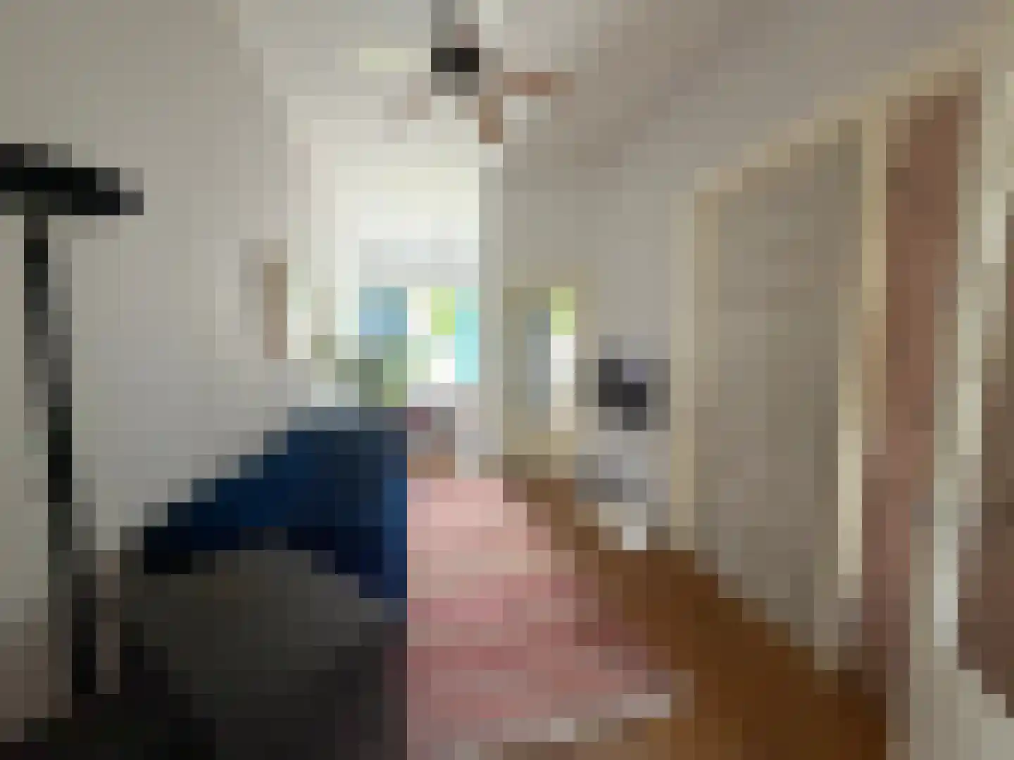 Voorstraat 22 Bad Nieuweschans thumbnail 11